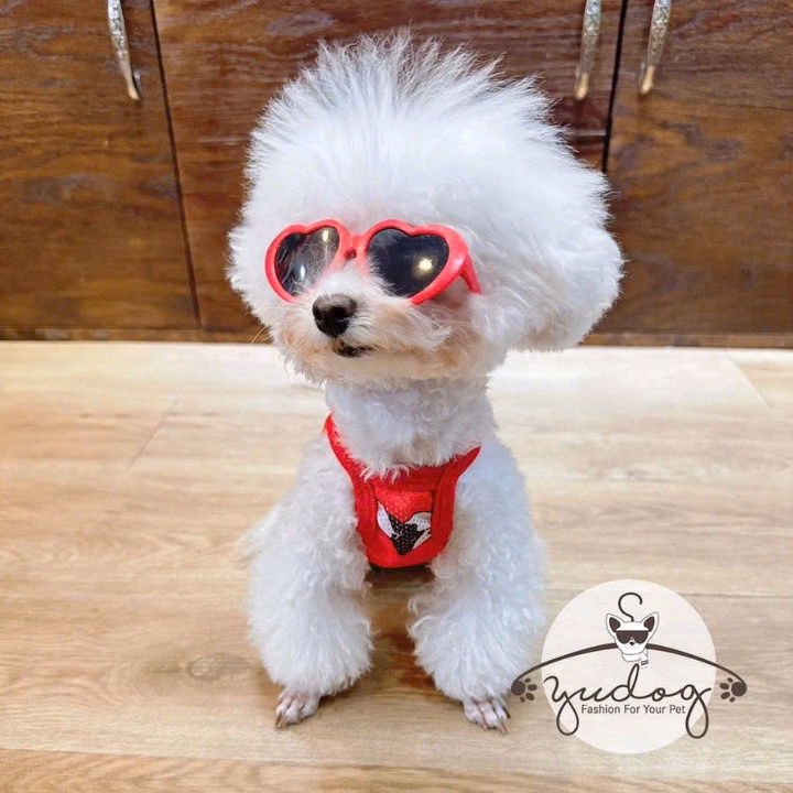 Áo Lưới 2 Dây Phom Croptop Cho Thú Cưng Chó Mèo - Ảnh 2