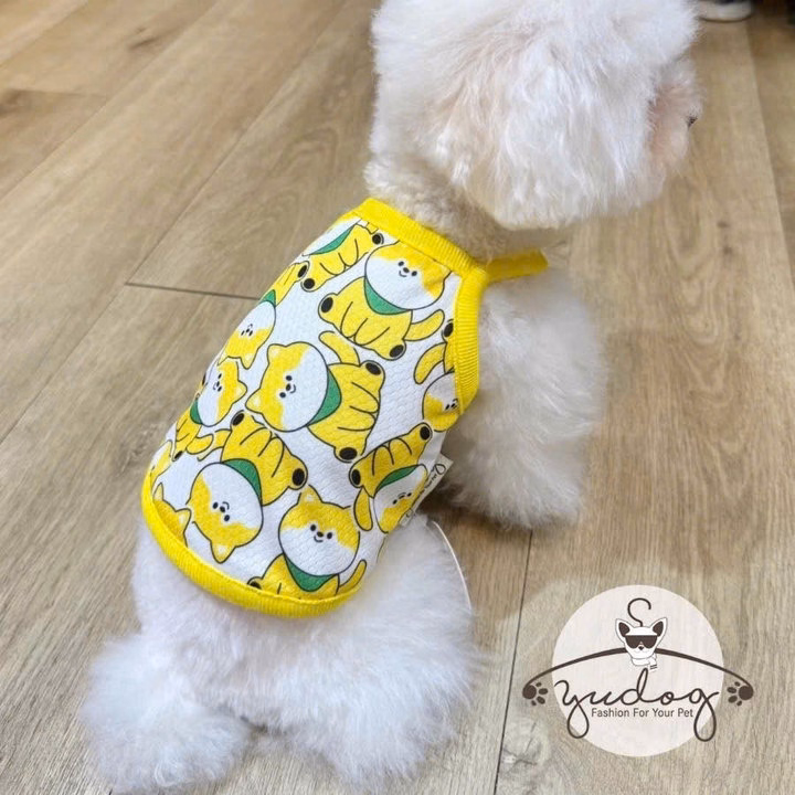 Áo Thun Vàng Dễ Thương Cho Thú Cưng Chó Mèo