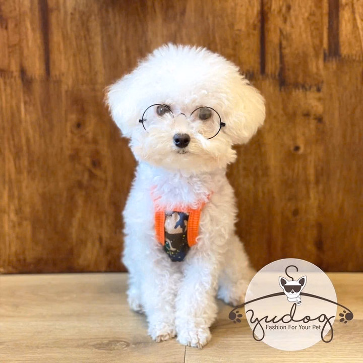 Áo Thun 2 Dây Lươt Ván Dành Cho Thú Cưng Chó Mèo - Ảnh 2