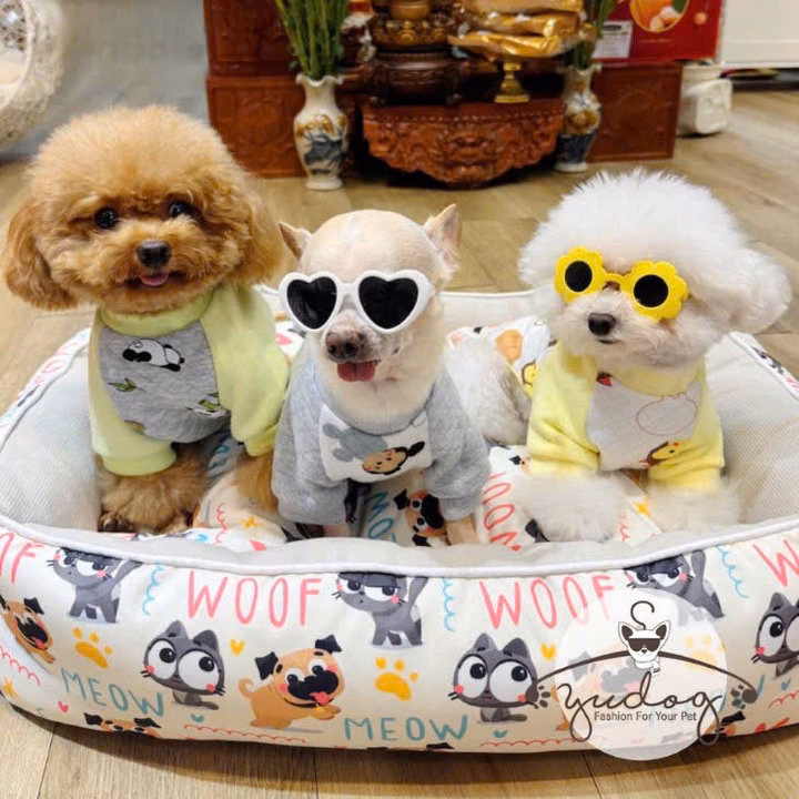 Áo Thun Nỉ Phom Raglan Mặc Ấm Cho Thú Cưng Chó Mèo