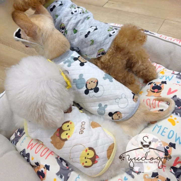 Áo Thun Nỉ Phom Raglan Mặc Ấm Cho Thú Cưng Chó Mèo - Ảnh 3