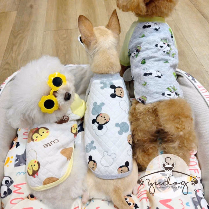 Áo Thun Nỉ Phom Raglan Mặc Ấm Cho Thú Cưng Chó Mèo - Ảnh 2