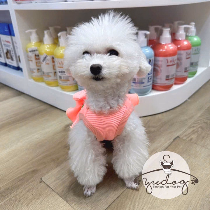 Đầm Thun Phối Bèo Dễ Thương Cho Thú Cưng Chó Mèo - Ảnh 5