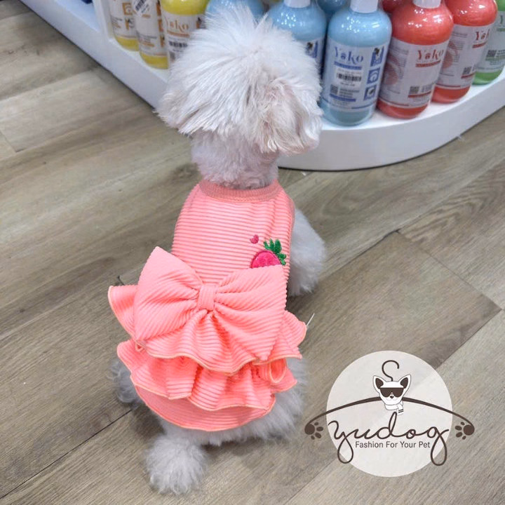 Đầm Thun Phối Bèo Dễ Thương Cho Thú Cưng Chó Mèo - Ảnh 2