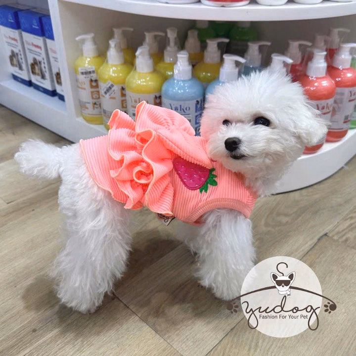 Đầm Thun Phối Bèo Dễ Thương Cho Thú Cưng Chó Mèo - Ảnh 4