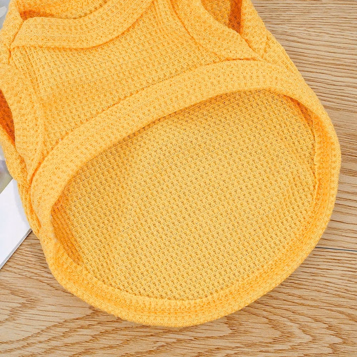 Áo Thun Ba Lỗ Thông Hơi Cho Thú Cưng Chó Mèo - Ảnh 19