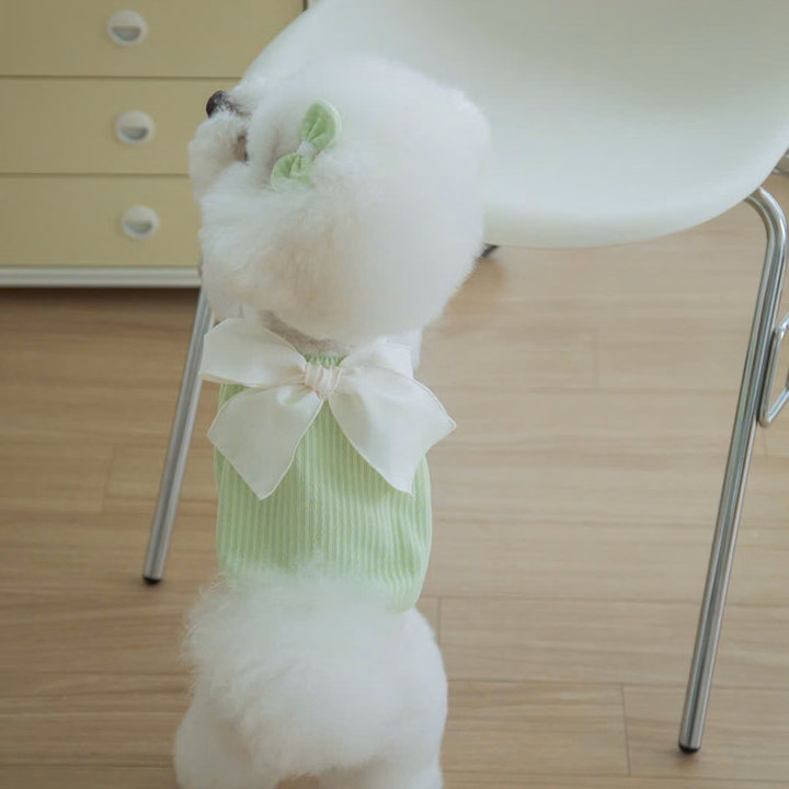 Váy Xanh Lá Nơ Xinh Từ 1-7Kg Dành Cho Chó Mèo - Ảnh 2