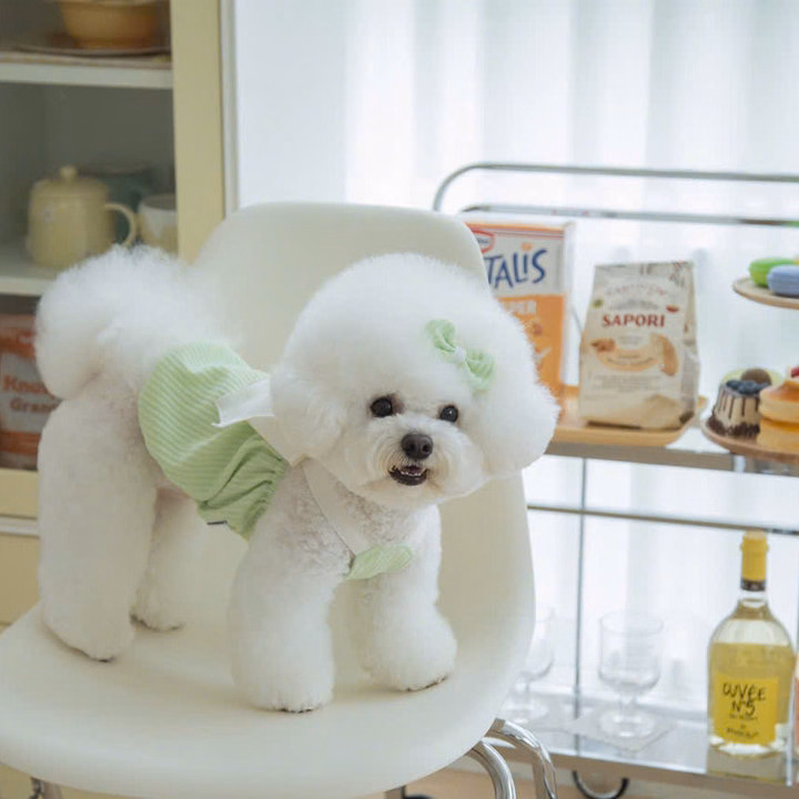 Váy Xanh Lá Nơ Xinh Từ 1-7Kg Dành Cho Chó Mèo - Ảnh 6