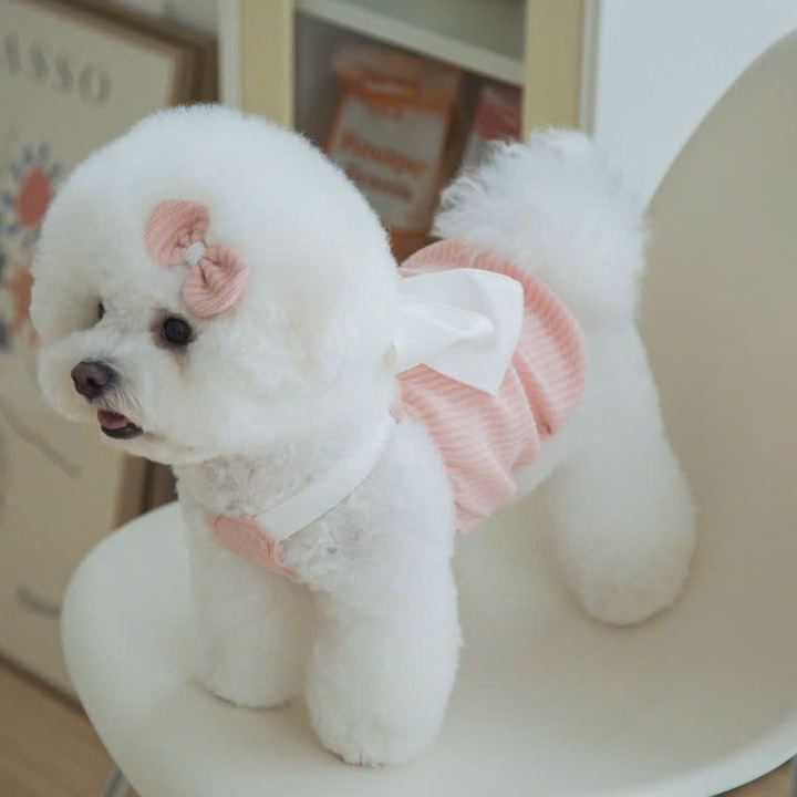 Váy Hồng Nơ Xinh Từ 1-7Kg Dành Cho Chó Mèo - Ảnh 5
