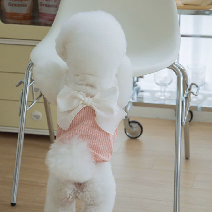 Váy Hồng Nơ Xinh Từ 1-7Kg Dành Cho Chó Mèo - Ảnh 6