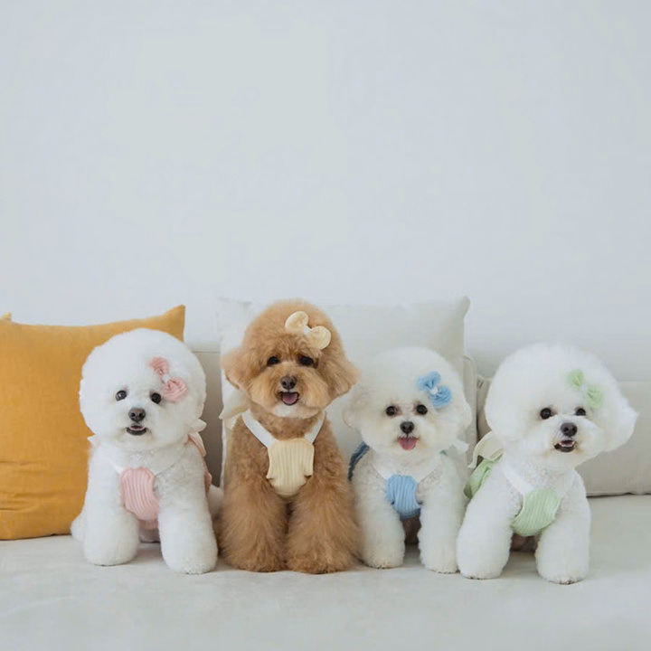 Váy Xanh Dương Nơ Xinh Từ 1-7Kg Dành Cho Chó Mèo - Ảnh 6