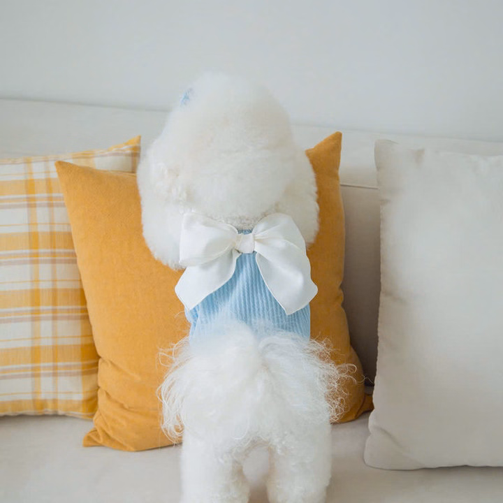 Váy Xanh Dương Nơ Xinh Từ 1-7Kg Dành Cho Chó Mèo - Ảnh 3