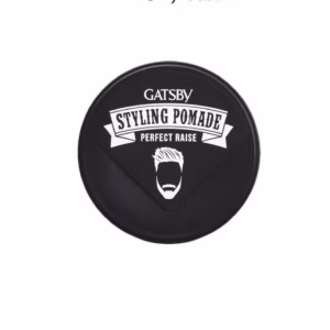 [Chính Hãng] Pomade Tạo Kiểu Tóc Gatsby Styling Pomade Perfect Raise 75G -Gdn