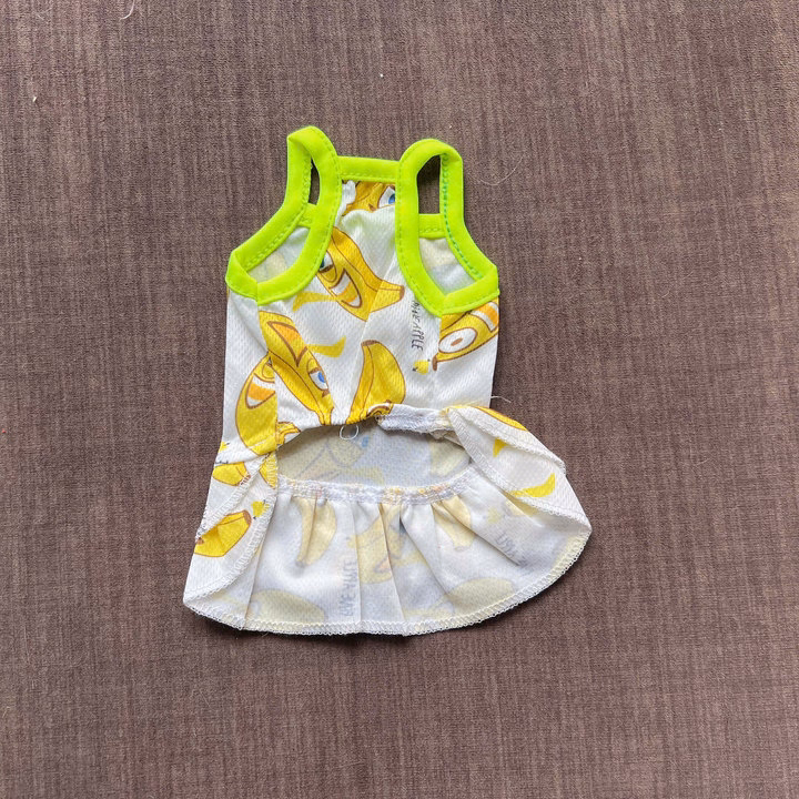 Váy Thông Hơi Siêu Cute Từ 0.5-6.5Kg Dành Cho Thú Cưng Chó Mèo - Ảnh 6