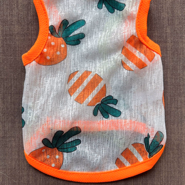 Áo Thun Ba Lỗ Hoạ Tiết Trái Cây Thông Hơi Siêu Cute Từ 1-7Kg Dành Cho Thú Cưng Chó Mèo - Ảnh 7