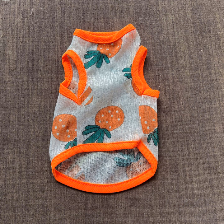 Áo Thun Ba Lỗ Hoạ Tiết Trái Cây Thông Hơi Siêu Cute Từ 1-7Kg Dành Cho Thú Cưng Chó Mèo - Ảnh 10