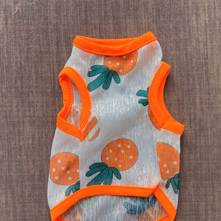 Áo Thun Ba Lỗ Hoạ Tiết Trái Cây Thông Hơi Siêu Cute Từ 1-7Kg Dành Cho Thú Cưng Chó Mèo - Ảnh 4