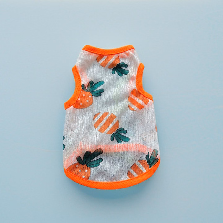 Áo Thun Ba Lỗ Hoạ Tiết Trái Cây Thông Hơi Siêu Cute Từ 1-7Kg Dành Cho Thú Cưng Chó Mèo