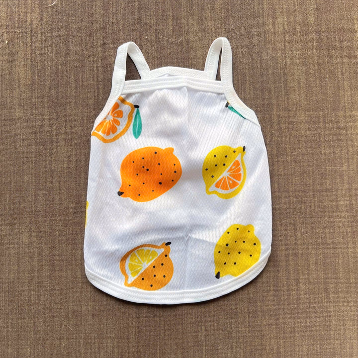 Áo Thun Hai Dây Trái Cây Thông Hơi Siêu Cute Từ 1-7.5Kg Dành Cho Thú Cưng Chó Mèo - Ảnh 3