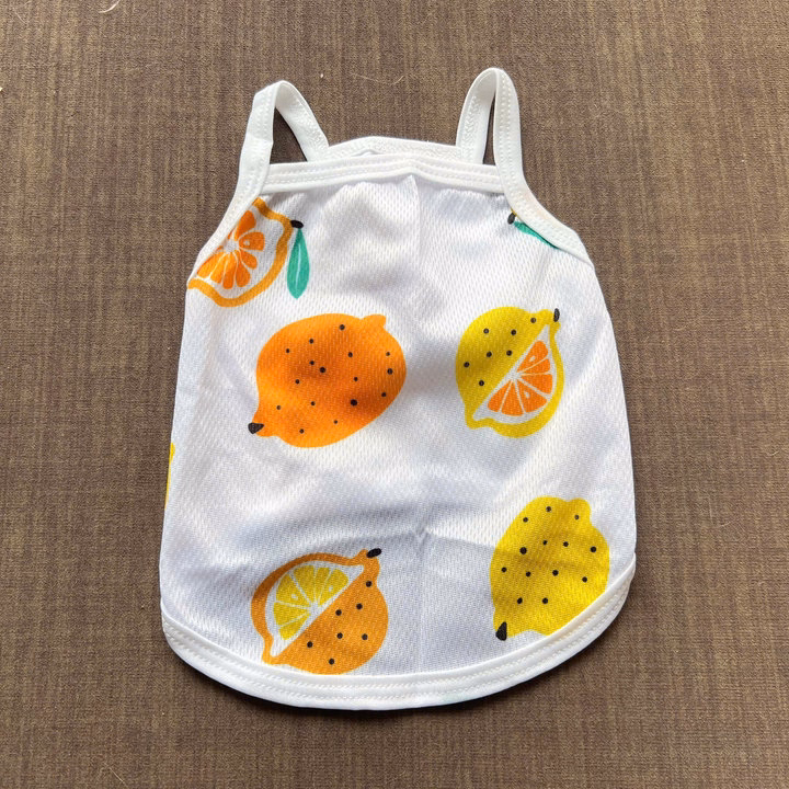 Áo Thun Hai Dây Trái Cây Thông Hơi Siêu Cute Từ 1-7.5Kg Dành Cho Thú Cưng Chó Mèo - Ảnh 2