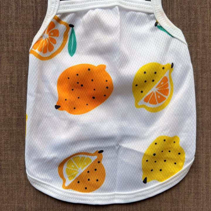 Áo Thun Hai Dây Trái Cây Thông Hơi Siêu Cute Từ 1-7.5Kg Dành Cho Thú Cưng Chó Mèo - Ảnh 4