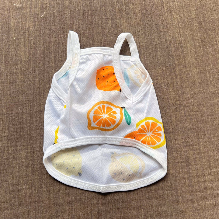 Áo Thun Hai Dây Trái Cây Thông Hơi Siêu Cute Từ 1-7.5Kg Dành Cho Thú Cưng Chó Mèo - Ảnh 7