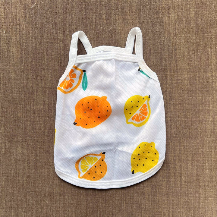 Áo Thun Hai Dây Trái Cây Thông Hơi Siêu Cute Từ 1-7.5Kg Dành Cho Thú Cưng Chó Mèo - Ảnh 8