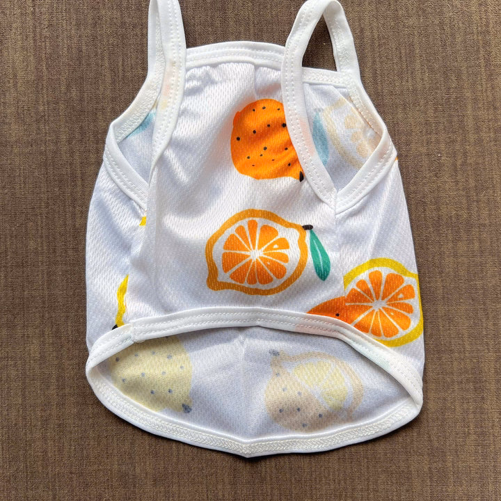 Áo Thun Hai Dây Trái Cây Thông Hơi Siêu Cute Từ 1-7.5Kg Dành Cho Thú Cưng Chó Mèo - Ảnh 5