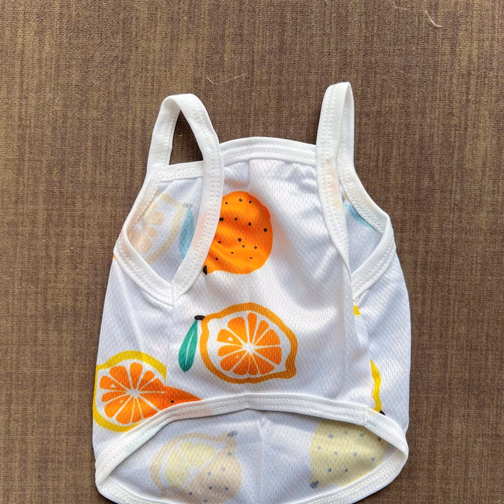 Áo Thun Hai Dây Trái Cây Thông Hơi Siêu Cute Từ 1-7.5Kg Dành Cho Thú Cưng Chó Mèo - Ảnh 9