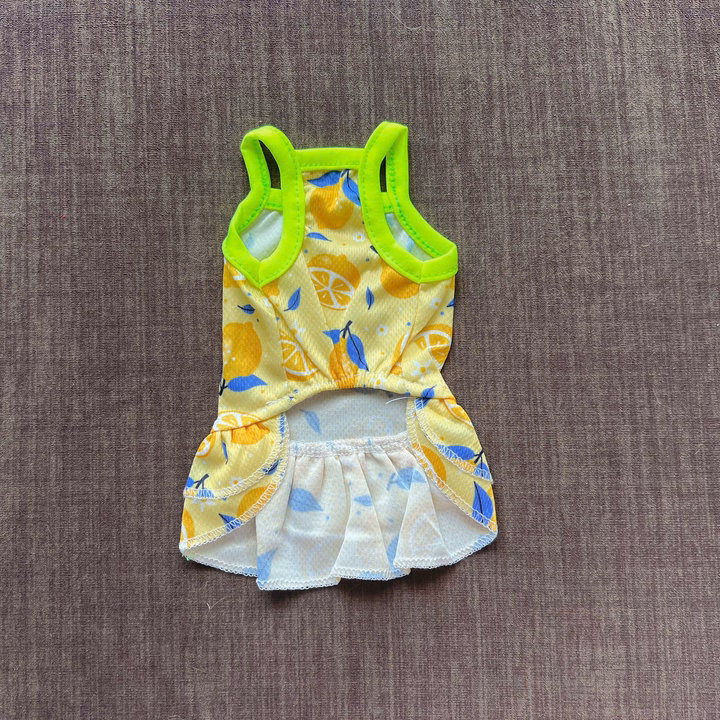 Váy Thông Hơi Trái Cây Dễ Thương Từ 0.5-6.5Kg Dành Cho Thú Cưng Chó Mèo - Ảnh 4