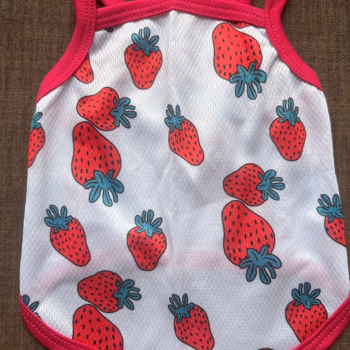 Áo Thun Hai Dây Dâu Tây Thông Hơi Siêu Cute Từ 1-7.5Kg Dành Cho Thú Cưng Chó Mèo - Ảnh 4