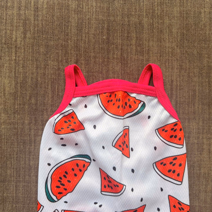 Áo Thun Hai Dây Dưa Hấu Thông Hơi Siêu Cute Từ 1-7.5Kg Dành Cho Thú Cưng Chó Mèo - Ảnh 6