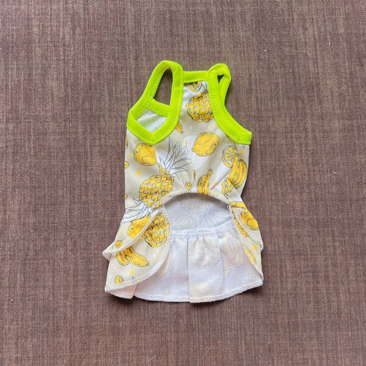 Váy Thông Hơi Trái Cây Xinh Xắn Từ 0.5-6.5Kg Dành Cho Thú Cưng Chó Mèo - Ảnh 7