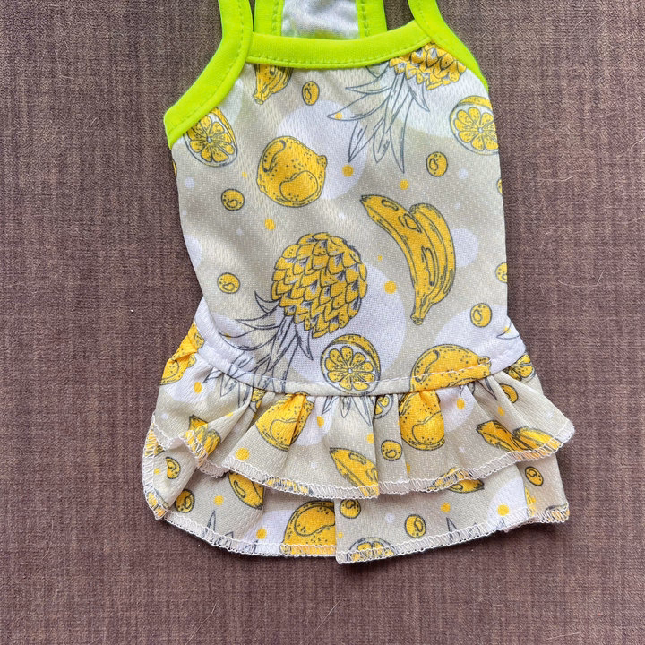 Váy Thông Hơi Trái Cây Xinh Xắn Từ 0.5-6.5Kg Dành Cho Thú Cưng Chó Mèo - Ảnh 3