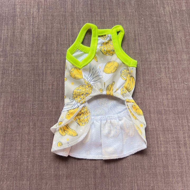 Váy Thông Hơi Trái Cây Xinh Xắn Từ 0.5-6.5Kg Dành Cho Thú Cưng Chó Mèo - Ảnh 5