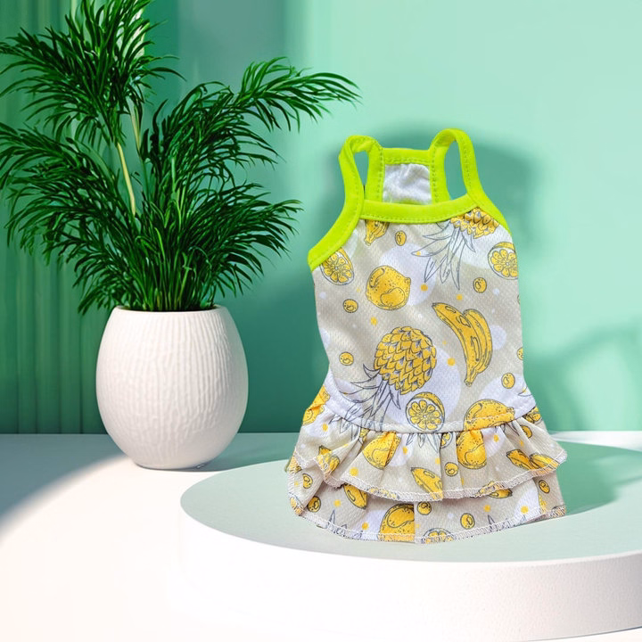 Váy Thông Hơi Trái Cây Xinh Xắn Từ 0.5-6.5Kg Dành Cho Thú Cưng Chó Mèo