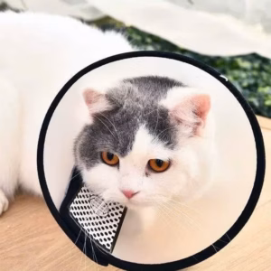 Loa Chống Liếm Vòng Cổ Chống Liếm Cho Thú Cưng Chó Mèo Từ 0.1-9Kg Dành Cho Chó Mèo