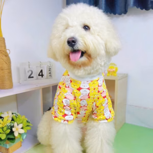 Áo Thỏ Dễ Thương Từ 0.5-20Kg Dành Cho Thú Cưng Chó Mèo