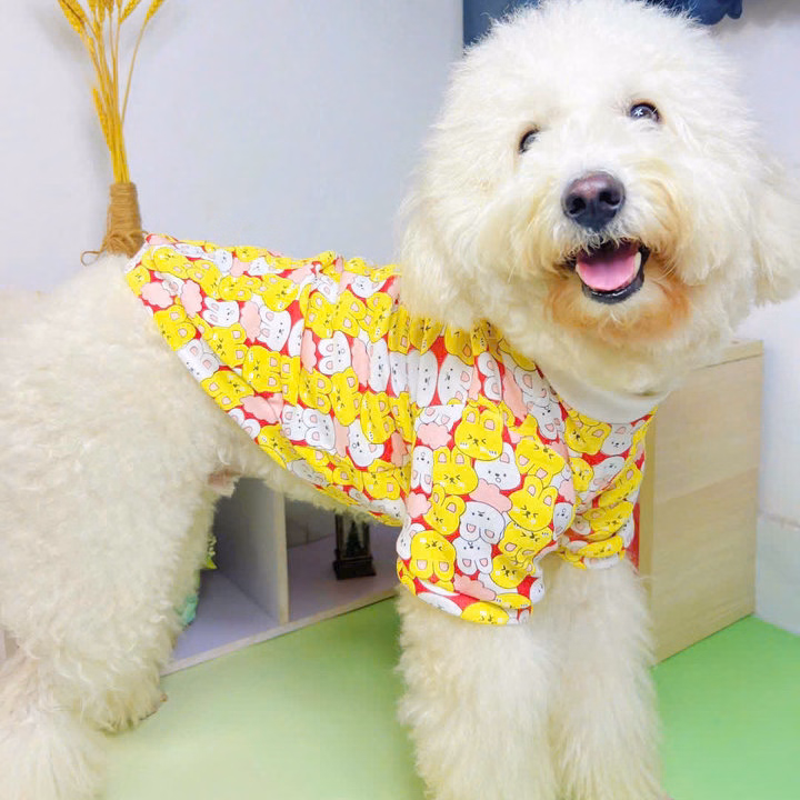 Áo Thỏ Dễ Thương Từ 0.5-20Kg Dành Cho Thú Cưng Chó Mèo - Ảnh 2