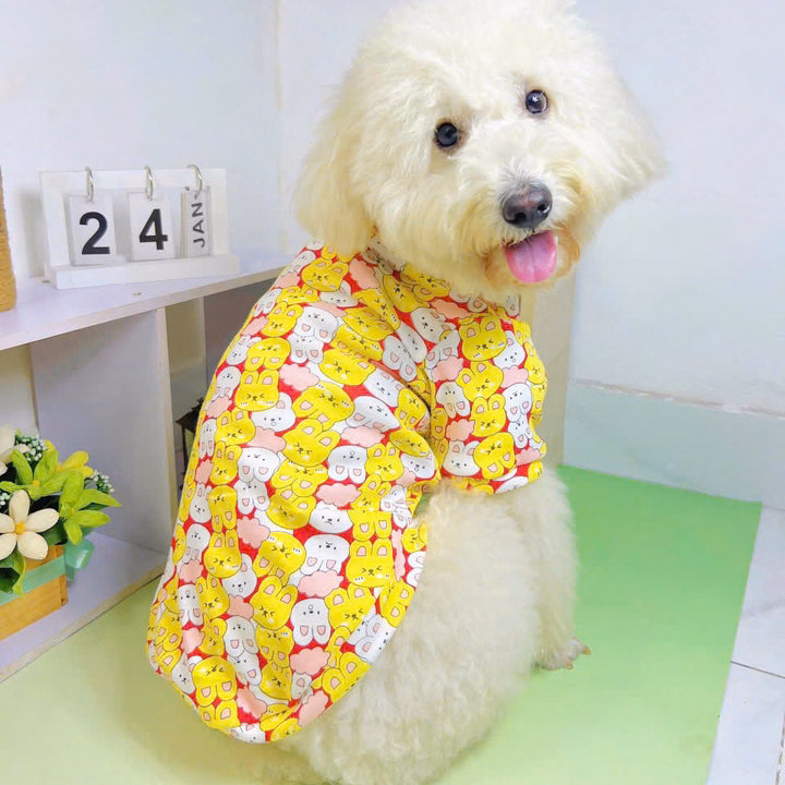 Áo Thỏ Dễ Thương Từ 0.5-20Kg Dành Cho Thú Cưng Chó Mèo - Ảnh 3