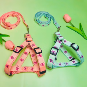 Dây Dắt Yếm Dắt Thú Cưng Chó Mèo Từ 3-25Kg Dành Cho Thú Cưng Chó Mèo