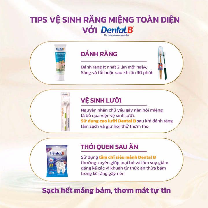 Bàn Chải Đánh Răng Người Lớn Dental B - Ảnh 6
