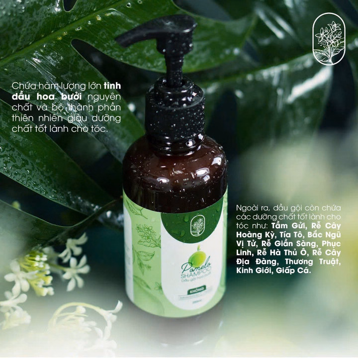 Bộ Đôi (Gội + Xả) Giảm Rụng Hỗ Trợ Mọc Tóc Gồm Dầu Gội Hoa Bưởi (250Ml) & Dầu Xả Hoa Bưởi Neo Nature (250Ml) - Ảnh 6