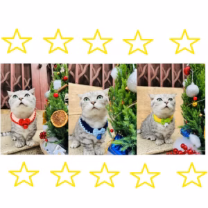 Yếm Len Đeo Cổ Dễ Thương Từ 0.5-20Kg Dành Cho Thú Cưng Chó Mèo