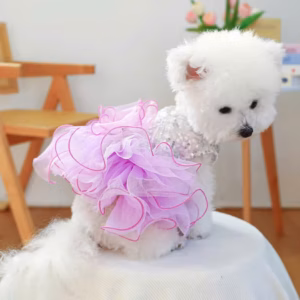 Váy Kim Sa Xoè Siêu Sang Trọng Và Đẹp Từ 0.5-9Kg Dành Cho Thú Cưng Chó Mèo