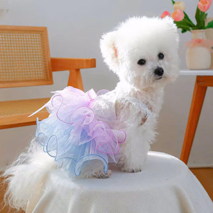 Váy Tây Âu Xoè Siêu Sang Trọng Từ 0.5-9Kg Dành Cho Thú Cưng Chó Mèo - Ảnh 3