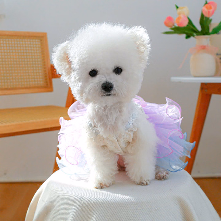 Váy Tây Âu Xoè Siêu Sang Trọng Từ 0.5-9Kg Dành Cho Thú Cưng Chó Mèo - Ảnh 4