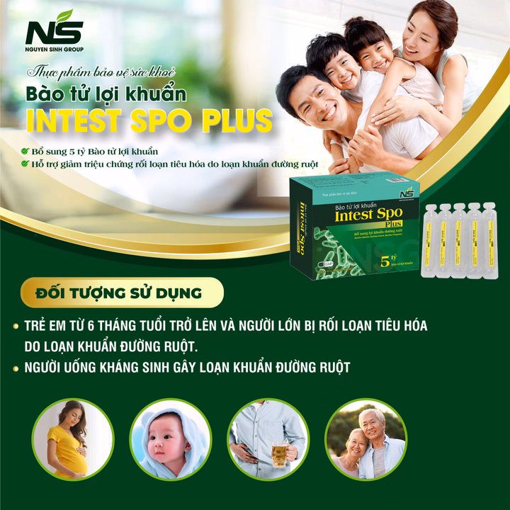 Bào Tử Lợi Khuẩn Intest Spo Plus - Nguyên Sinh Group - Ảnh 4