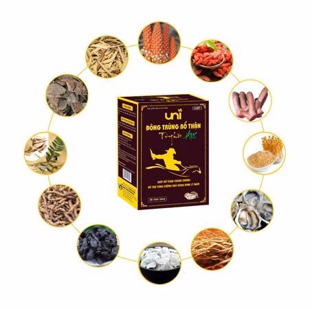 Uni Đông Trùng Bổ Thận Tùng Lộc Plus - Uni Pharma - Ảnh 4