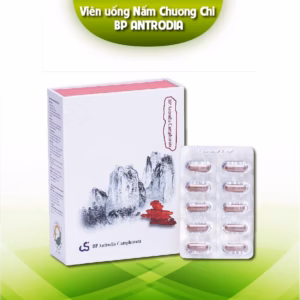 Viên Ngăn Ngừa Đa Kháng Thuốc Trong Hóa Trị Liệu Bp Antrodia Camphorata - Bp Pharma